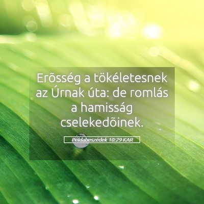 Picture 05 - Példabeszédek 10:29 KAR - Erõsség a tökéletesnek az Úrnak úta: de - Bible Verse Picture