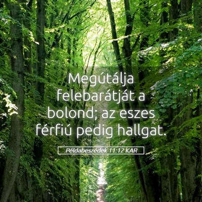 Picture 05 - Példabeszédek 11:12 KAR - Megútálja felebarátját a bolond; az eszes - Bible Verse Picture