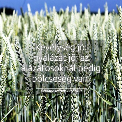 Picture 05 - Példabeszédek 11:2 KAR - Kevélység jõ: gyalázat jõ; az - Bible Verse Picture
