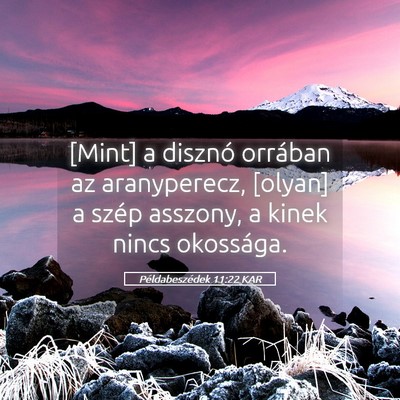 Picture 05 - Példabeszédek 11:22 KAR - [Mint] a disznó orrában az aranyperecz, [olyan] - Bible Verse Picture