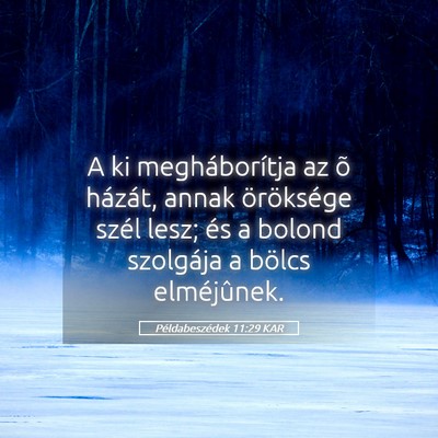 Picture 05 - Példabeszédek 11:29 KAR - A ki megháborítja az õ házát, annak - Bible Verse Picture