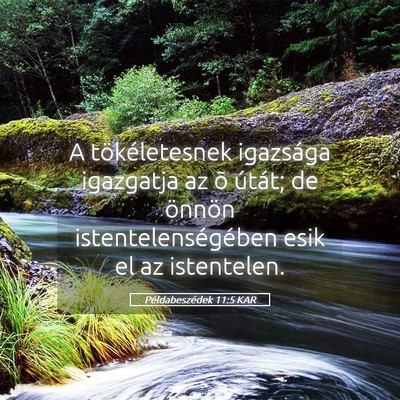 Picture 05 - Példabeszédek 11:5 KAR - A tökéletesnek igazsága igazgatja az õ - Bible Verse Picture