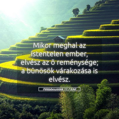 Picture 05 - Példabeszédek 11:7 KAR - Mikor meghal az istentelen ember, elvész az õ - Bible Verse Picture