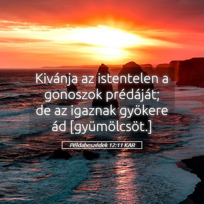 Picture 05 - Példabeszédek 12:11 KAR - Kivánja az istentelen a gonoszok prédáját; de - Bible Verse Picture