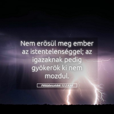 Picture 05 - Példabeszédek 12:2 KAR - Nem erõsül meg ember az istentelenséggel; az - Bible Verse Picture