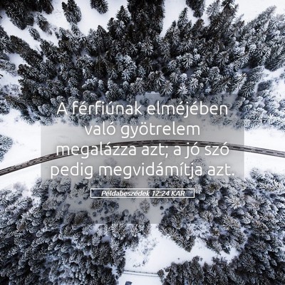Picture 05 - Példabeszédek 12:24 KAR - A férfiúnak elméjében való gyötrelem - Bible Verse Picture