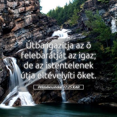 Picture 05 - Példabeszédek 12:25 KAR - Útba igazítja az õ felebarátját az igaz; de - Bible Verse Picture