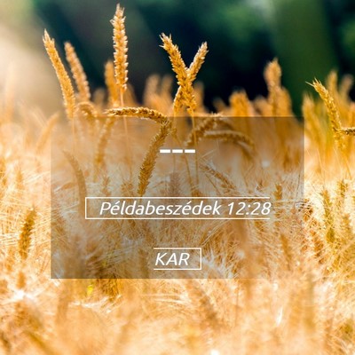 Picture 05 - Példabeszédek 12:28 KAR -  - Bible Verse Picture