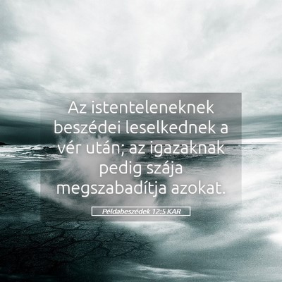 Picture 05 - Példabeszédek 12:5 KAR - Az istenteleneknek beszédei leselkednek a vér - Bible Verse Picture