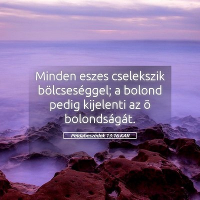 Picture 05 - Példabeszédek 13:16 KAR - Minden eszes cselekszik bölcseséggel; a bolond - Bible Verse Picture