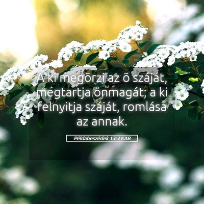 Picture 05 - Példabeszédek 13:3 KAR - A ki megõrzi az õ száját, megtartja - Bible Verse Picture