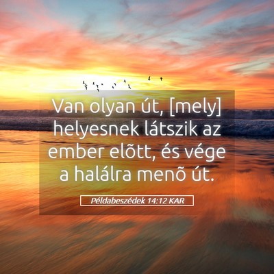 Picture 05 - Példabeszédek 14:12 KAR - Van olyan út, [mely] helyesnek látszik az ember - Bible Verse Picture
