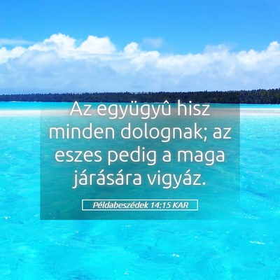 Picture 05 - Példabeszédek 14:15 KAR - Az együgyû hisz minden dolognak; az eszes pedig - Bible Verse Picture