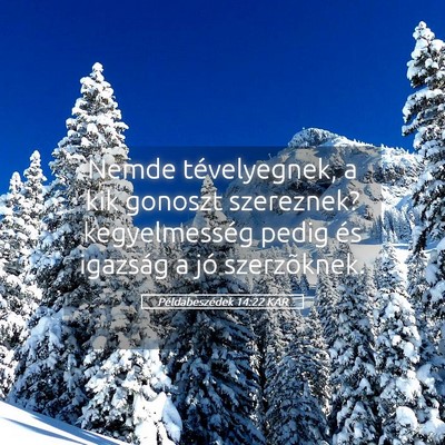 Picture 05 - Példabeszédek 14:22 KAR - Nemde tévelyegnek, a kik gonoszt szereznek? - Bible Verse Picture