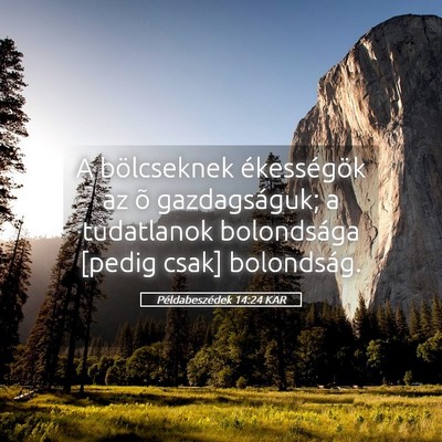 Picture 05 - Példabeszédek 14:24 KAR - A bölcseknek ékességök az õ gazdagságuk; a - Bible Verse Picture