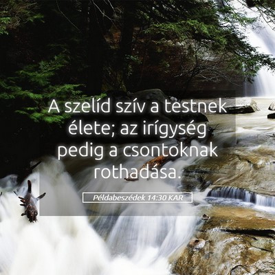Picture 05 - Példabeszédek 14:30 KAR - A szelíd szív a testnek élete; az irígység - Bible Verse Picture