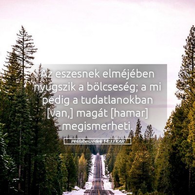 Picture 05 - Példabeszédek 14:33 KAR - Az eszesnek elméjében nyugszik a bölcseség; a - Bible Verse Picture