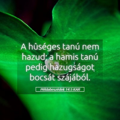 Picture 05 - Példabeszédek 14:5 KAR - A hûséges tanú nem hazud; a hamis tanú pedig - Bible Verse Picture