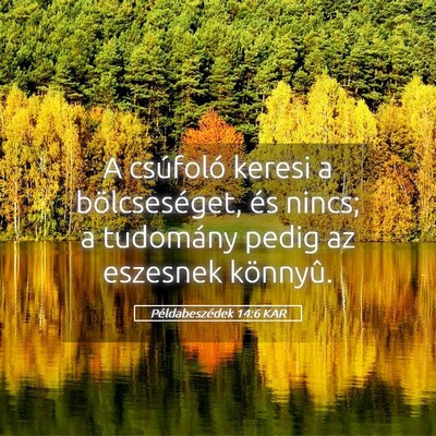 Picture 05 - Példabeszédek 14:6 KAR - A csúfoló keresi a bölcseséget, és nincs; a - Bible Verse Picture