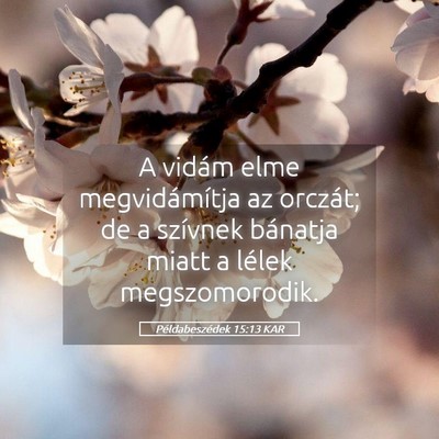 Picture 05 - Példabeszédek 15:13 KAR - A vidám elme megvidámítja az orczát; de a - Bible Verse Picture