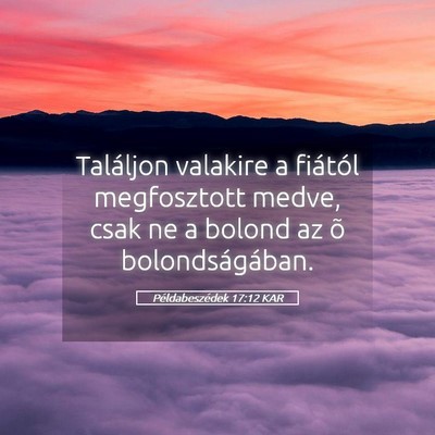 Picture 05 - Példabeszédek 17:12 KAR - Találjon valakire a fiától megfosztott medve, - Bible Verse Picture