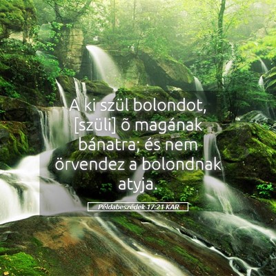 Picture 05 - Példabeszédek 17:21 KAR - A ki szül bolondot, [szüli] õ magának - Bible Verse Picture