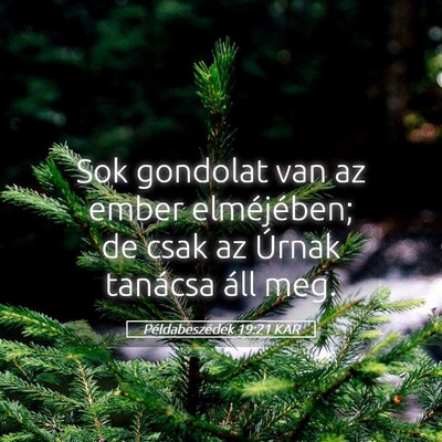 Picture 05 - Példabeszédek 19:21 KAR - Sok gondolat van az ember elméjében; de csak az - Bible Verse Picture