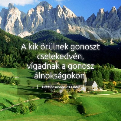 Picture 05 - Példabeszédek 2:14 KAR - A kik örülnek gonoszt cselekedvén, vígadnak a - Bible Verse Picture