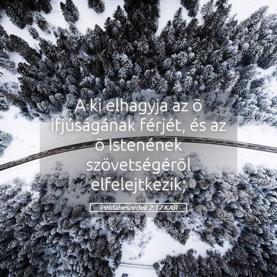 Picture 05 - Példabeszédek 2:17 KAR - A ki elhagyja az õ ifjúságának férjét, és - Bible Verse Picture