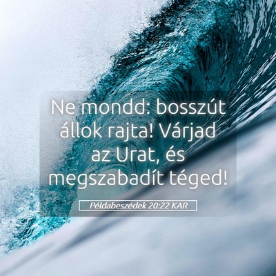 Picture 05 - Példabeszédek 20:22 KAR - Ne mondd: bosszút állok rajta! Várjad az Urat, - Bible Verse Picture