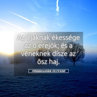 Picture 05 - Példabeszédek 20:29 KAR - Az ifjaknak ékessége az õ erejök; és a - Bible Verse Picture