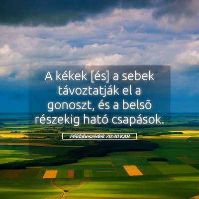 Picture 05 - Példabeszédek 20:30 KAR - A kékek [és] a sebek távoztatják el a - Bible Verse Picture