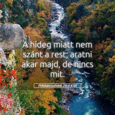Picture 05 - Példabeszédek 20:4 KAR - A hideg miatt nem szánt a rest; aratni akar - Bible Verse Picture