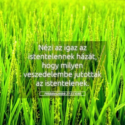 Picture 05 - Példabeszédek 21:12 KAR - Nézi az igaz az istentelennek házát, hogy - Bible Verse Picture