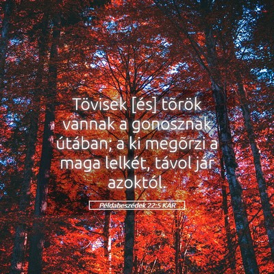 Picture 05 - Példabeszédek 22:5 KAR - Tövisek [és] tõrök vannak a gonosznak - Bible Verse Picture