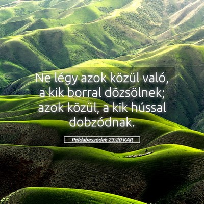 Picture 05 - Példabeszédek 23:20 KAR - Ne légy azok közül való, a kik borral - Bible Verse Picture