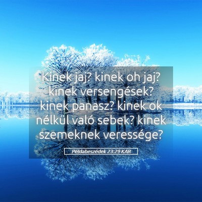 Picture 05 - Példabeszédek 23:29 KAR - Kinek jaj? kinek oh jaj? kinek versengések? - Bible Verse Picture
