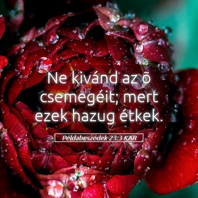 Picture 05 - Példabeszédek 23:3 KAR - Ne kivánd az õ csemegéit; mert ezek hazug - Bible Verse Picture