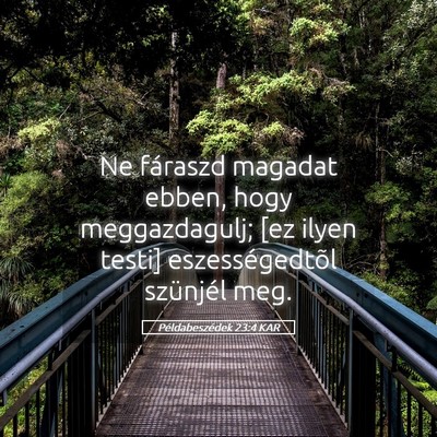 Picture 05 - Példabeszédek 23:4 KAR - Ne fáraszd magadat ebben, hogy meggazdagulj; [ez - Bible Verse Picture