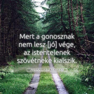 Picture 05 - Példabeszédek 24:20 KAR - Mert a gonosznak nem lesz [jó] vége, az - Bible Verse Picture