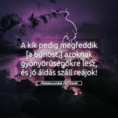 Picture 05 - Példabeszédek 24:25 KAR - A kik pedig megfeddik [a bûnöst,] azoknak - Bible Verse Picture