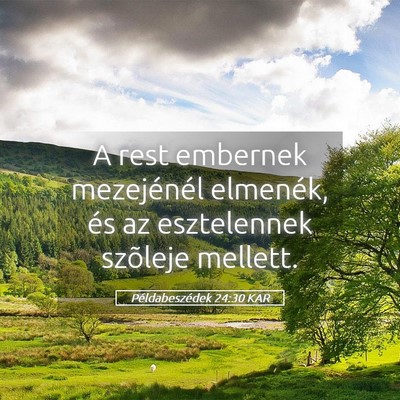 Picture 05 - Példabeszédek 24:30 KAR - A rest embernek mezejénél elmenék, és az - Bible Verse Picture