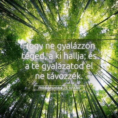 Picture 05 - Példabeszédek 25:10 KAR - Hogy ne gyalázzon téged, a ki hallja; és a te - Bible Verse Picture