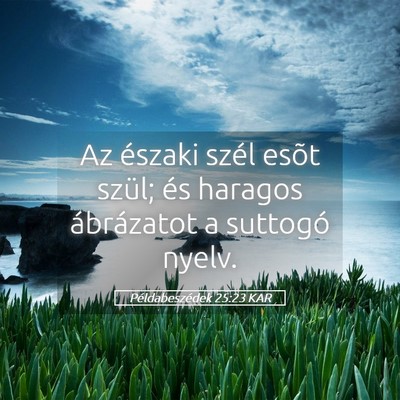 Picture 05 - Példabeszédek 25:23 KAR - Az északi szél esõt szül; és haragos - Bible Verse Picture