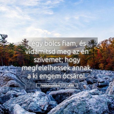 Picture 05 - Példabeszédek 27:11 KAR - Légy bölcs fiam, és vídámítsd meg az én - Bible Verse Picture