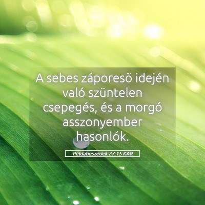 Picture 05 - Példabeszédek 27:15 KAR - A sebes záporesõ idején való szüntelen - Bible Verse Picture