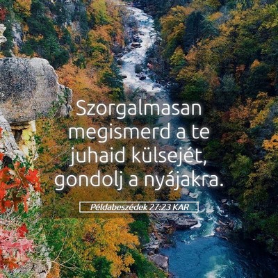 Picture 05 - Példabeszédek 27:23 KAR - Szorgalmasan megismerd a te juhaid külsejét, - Bible Verse Picture