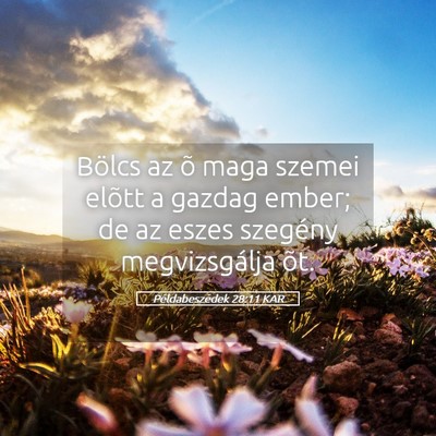 Picture 05 - Példabeszédek 28:11 KAR - Bölcs az õ maga szemei elõtt a gazdag ember; - Bible Verse Picture