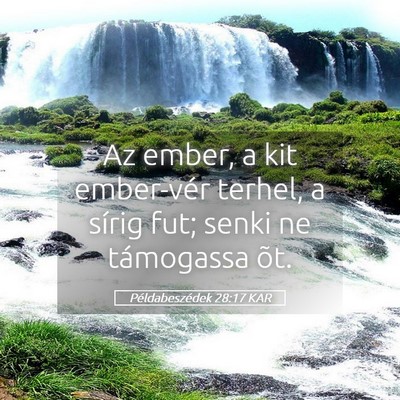 Picture 05 - Példabeszédek 28:17 KAR - Az ember, a kit ember-vér terhel, a sírig fut; - Bible Verse Picture