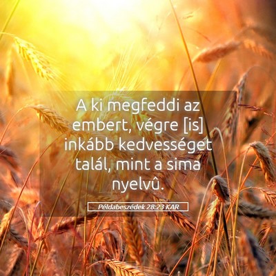 Picture 05 - Példabeszédek 28:23 KAR - A ki megfeddi az embert, végre [is] inkább - Bible Verse Picture